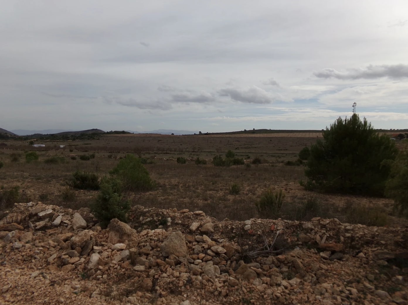 Screenshot-2023-03-07-at-15.24.14-1