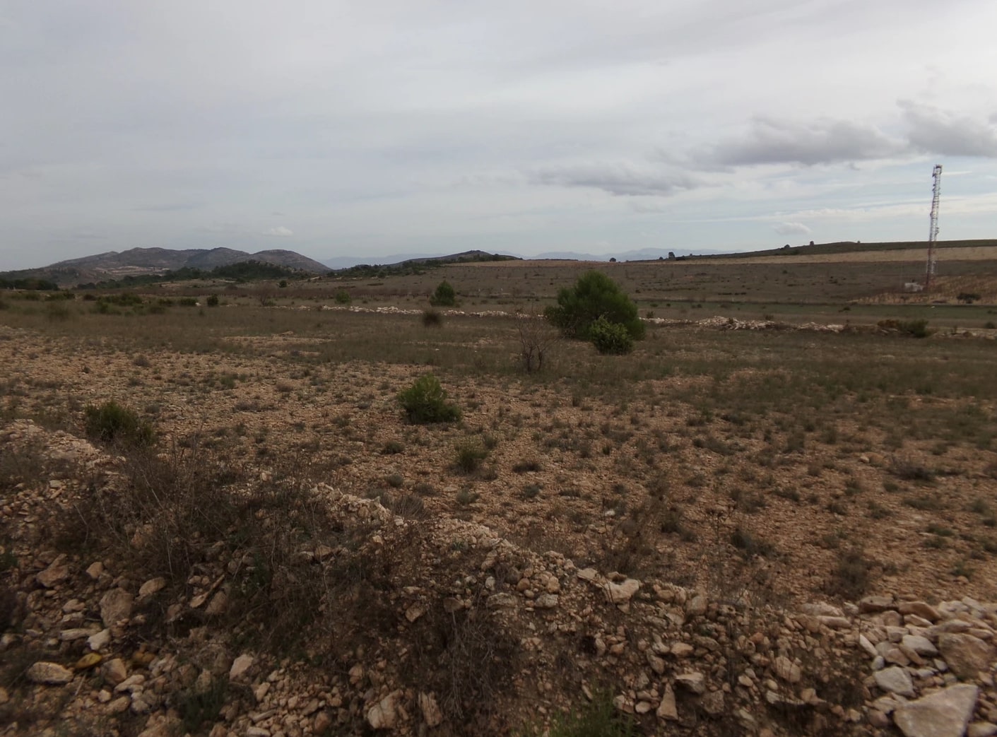 Screenshot-2023-03-07-at-15.24.26-1