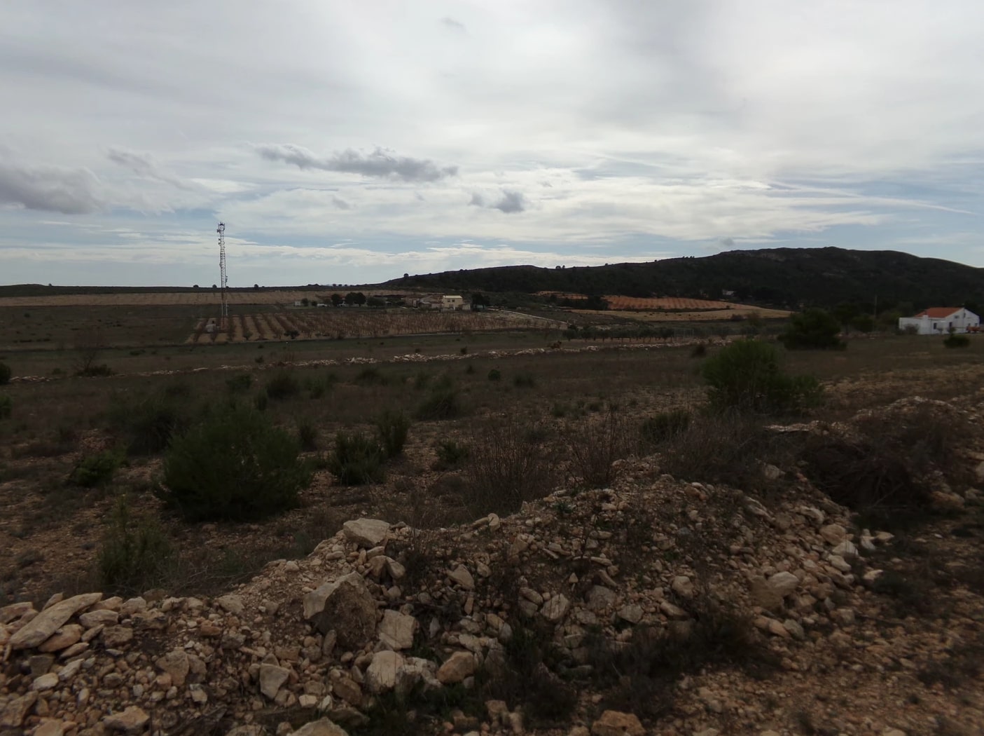 Screenshot-2023-03-07-at-15.24.48-1