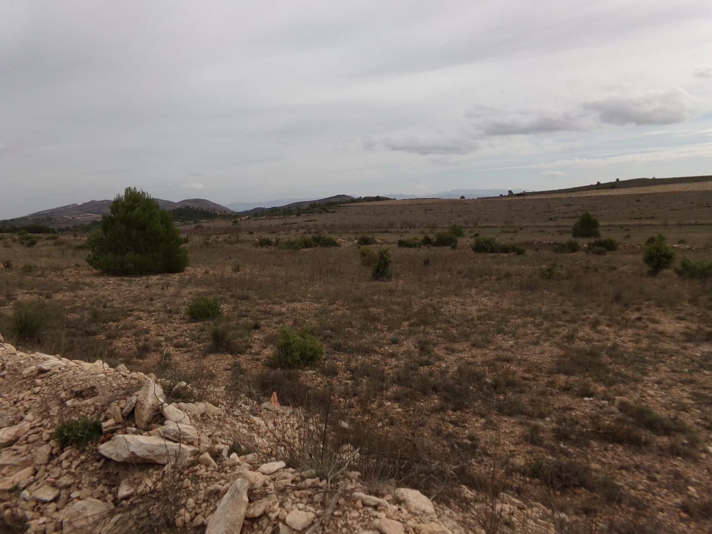 Screenshot-2023-03-07-at-15.27.19