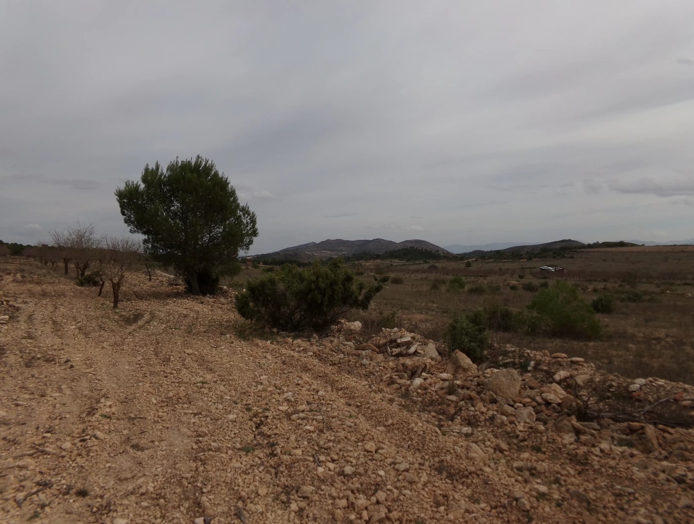 Screenshot-2023-03-07-at-15.27.25