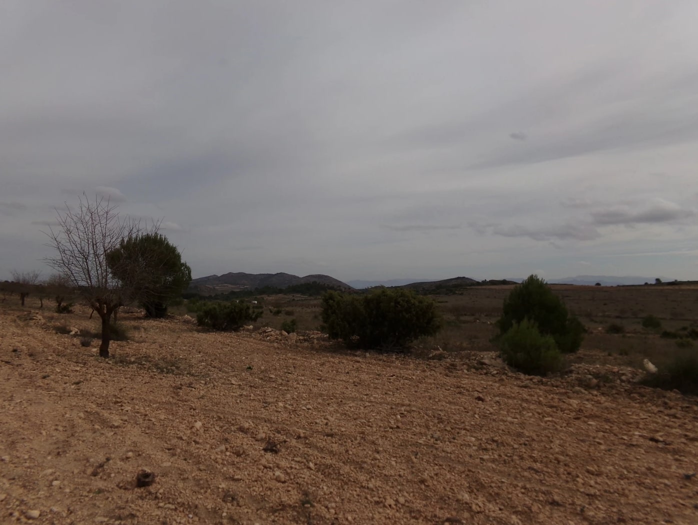 Screenshot-2023-03-07-at-15.27.35